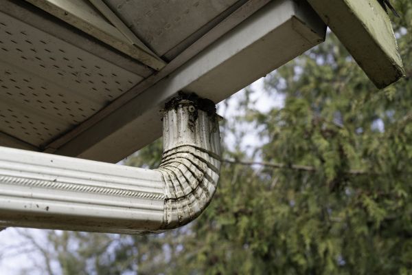 Roof Drain Replacement in Joliet